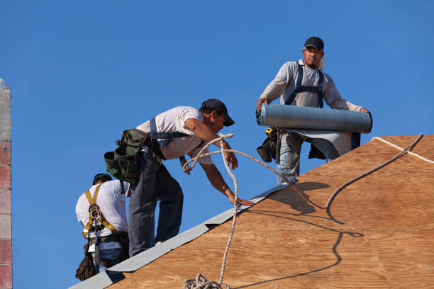 Best Roof Leak Repair  in Caldwell, OH