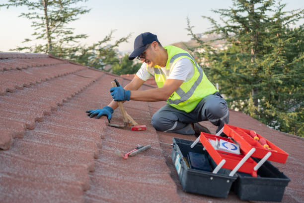 Best Roof Leak Repair  in Caldwell, OH