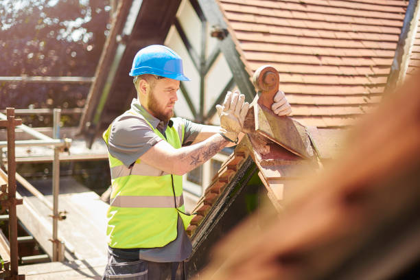Best Gutter Installation and Roofing  in Caldwell, OH